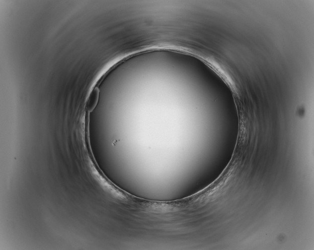 X0000099511100200805291144