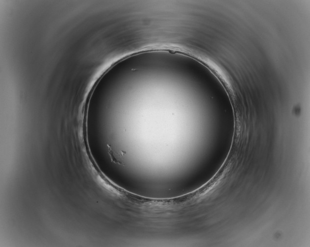 X0000099511102200805291144