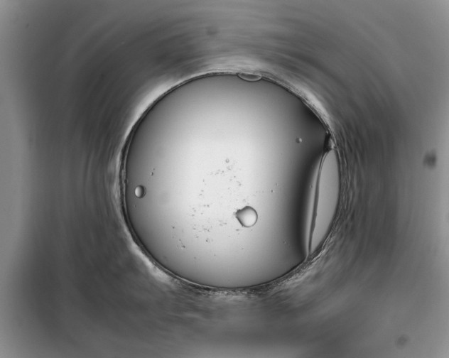 X0000099511103200805291144