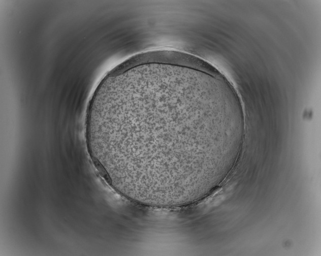 X0000099511104200805291144