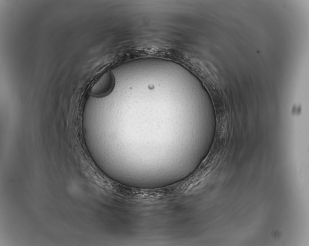 X0000099511105200805291143