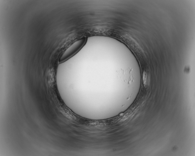 X0000099511107200805291143