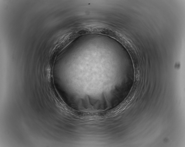 X0000099511108200805291143