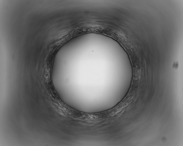 X0000099511109200805291143