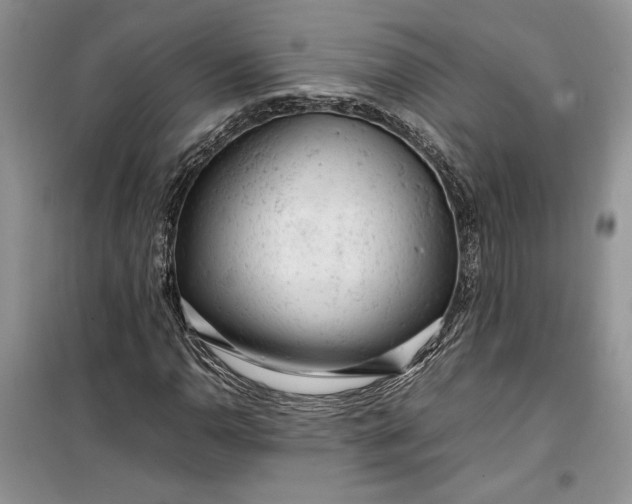 X0000099511110200805291143