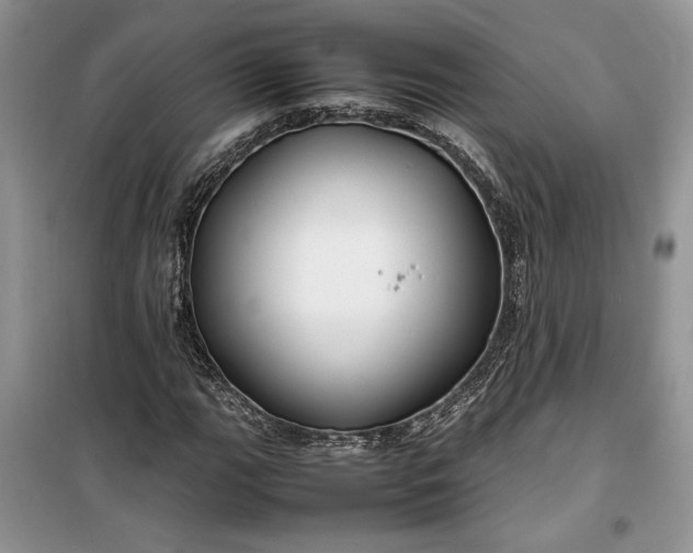 X0000099511111200805291143