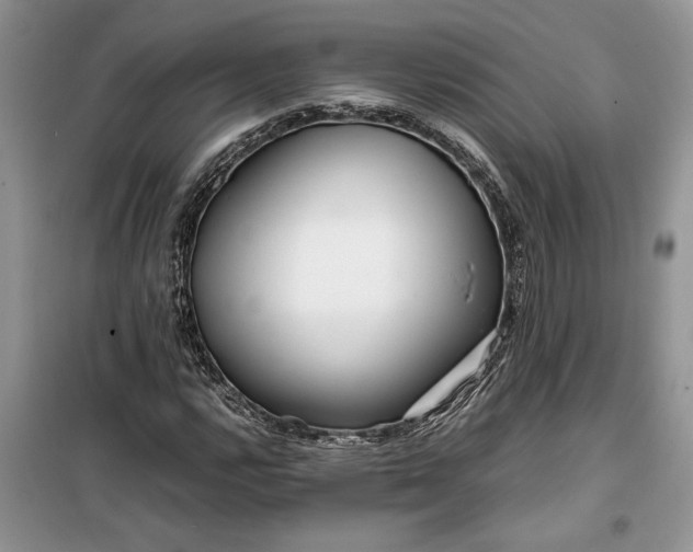 X0000099511112200805291143