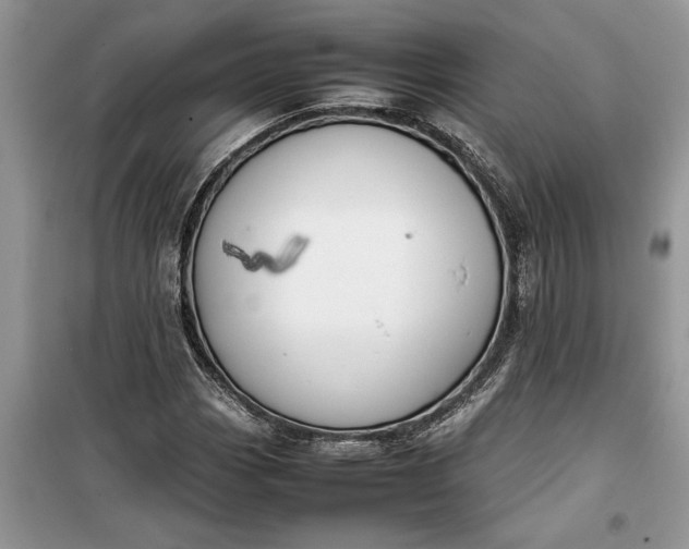 X0000099511113200805291143