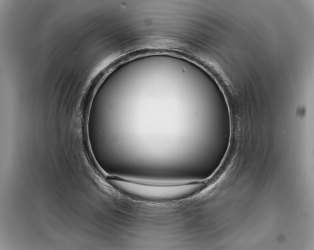 X0000099511114200805291143