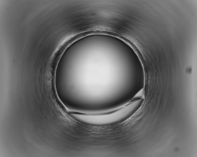 X0000099511115200805291143