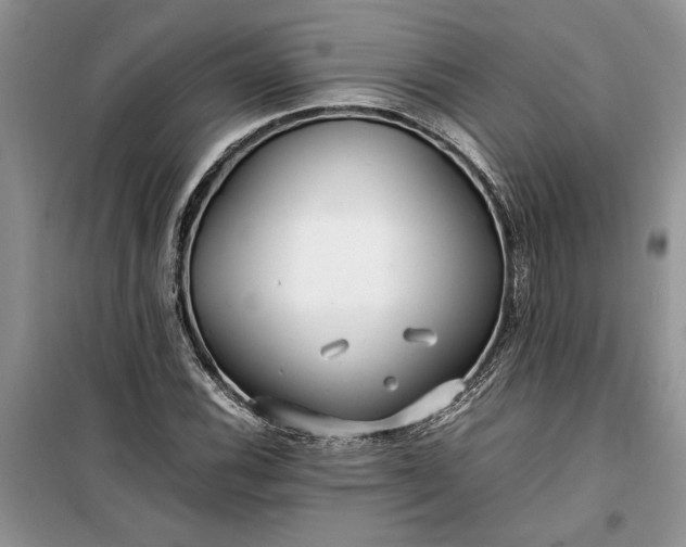 X0000099511116200805291143