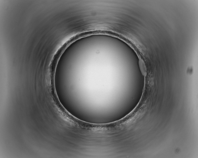 X0000099511118200805291143