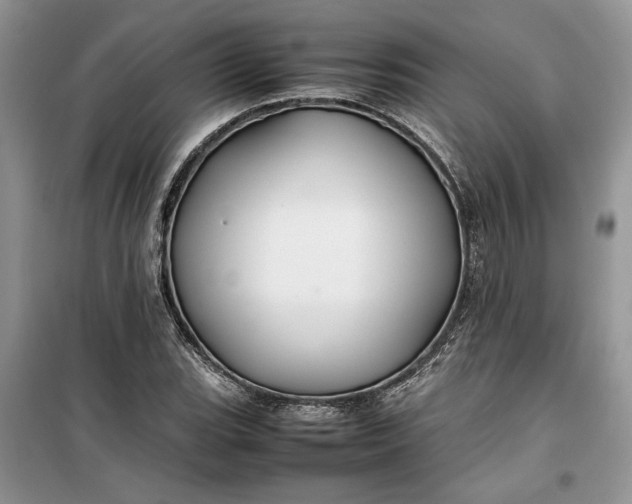 X0000099511119200805291143