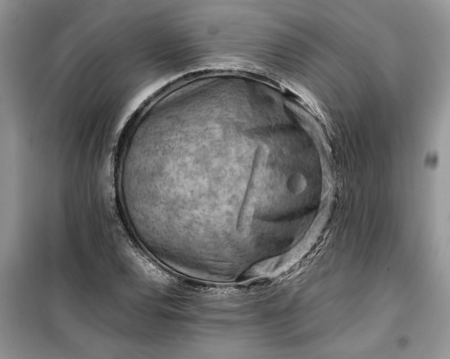 X0000099511120200805291143