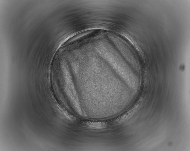 X0000099511121200805291143