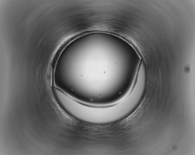 X0000099511123200805291143