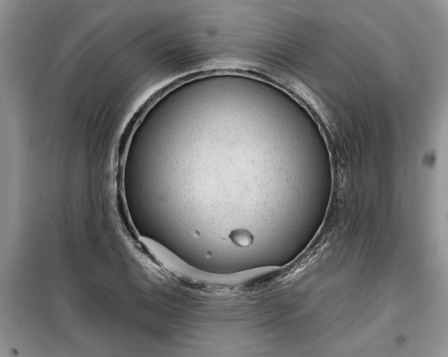 X0000099511124200805291143