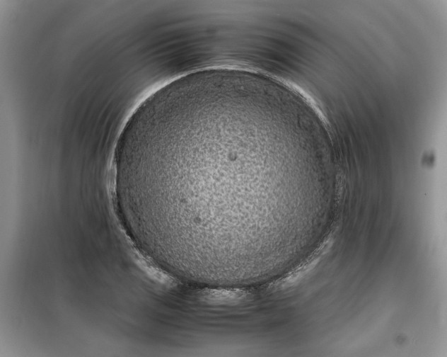 X0000099511125200805291143