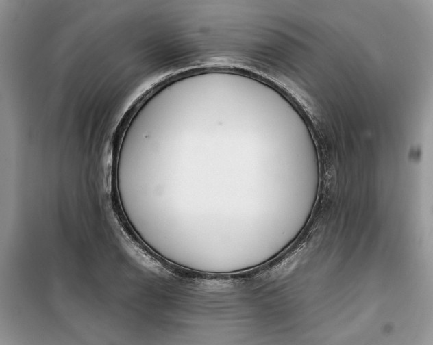 X0000099511126200805291143