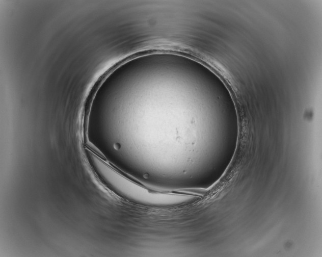 X0000099511128200805291143