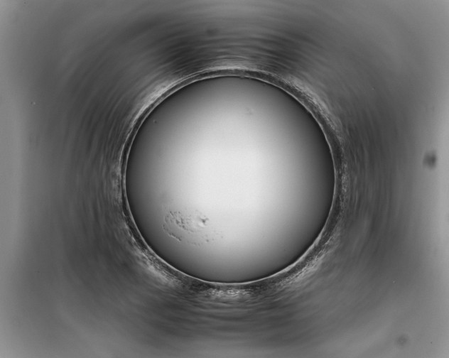 X0000099511129200805291143