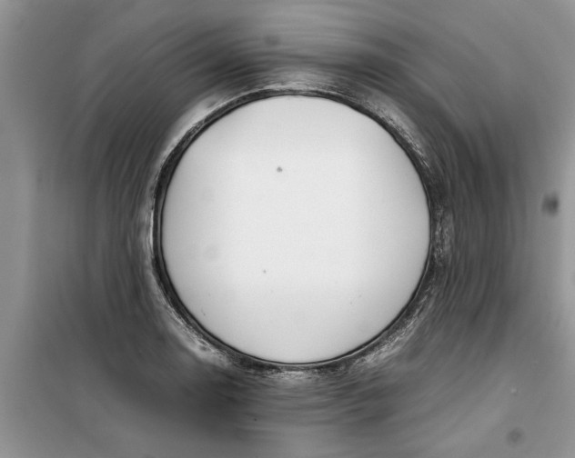 X0000099511130200805291143