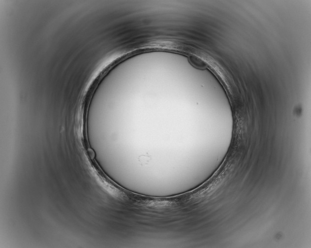 X0000099511131200805291143