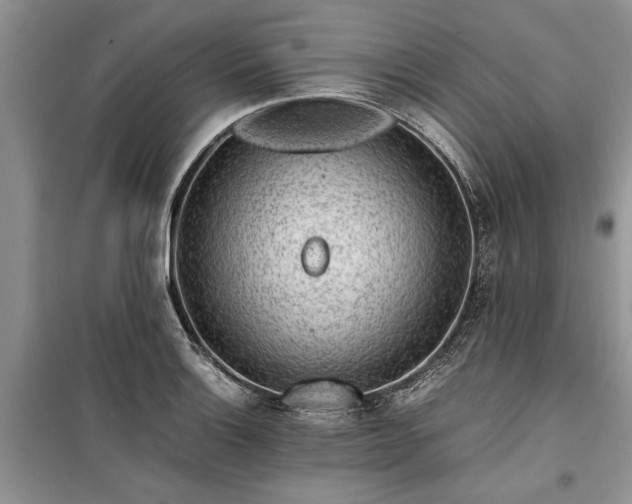 X0000099511132200805291143