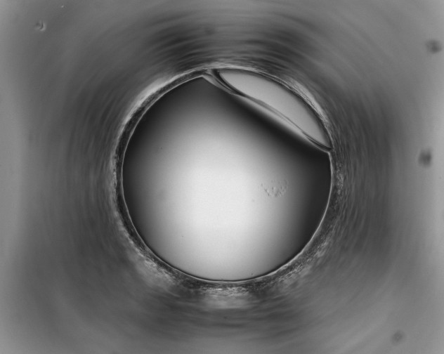 X0000099511133200805291143