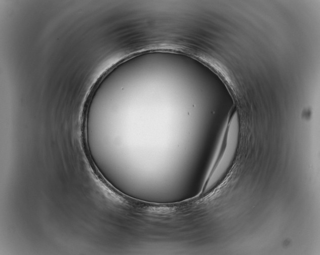 X0000099511135200805291143