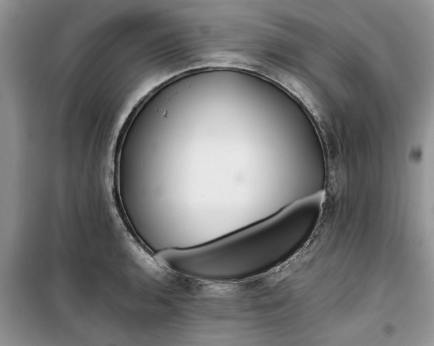 X0000099511136200805291143