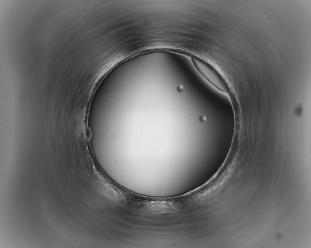 X0000099511137200805291143