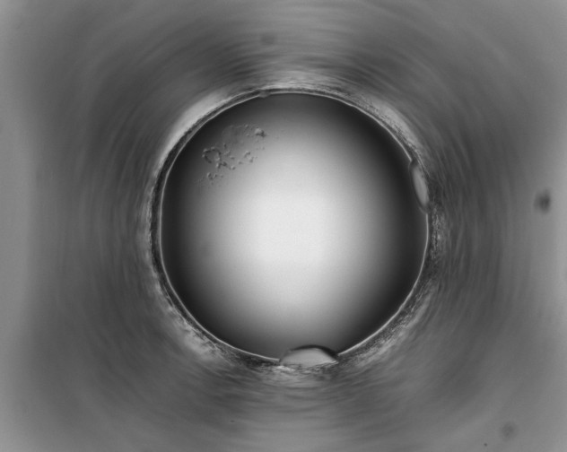 X0000099511138200805291143