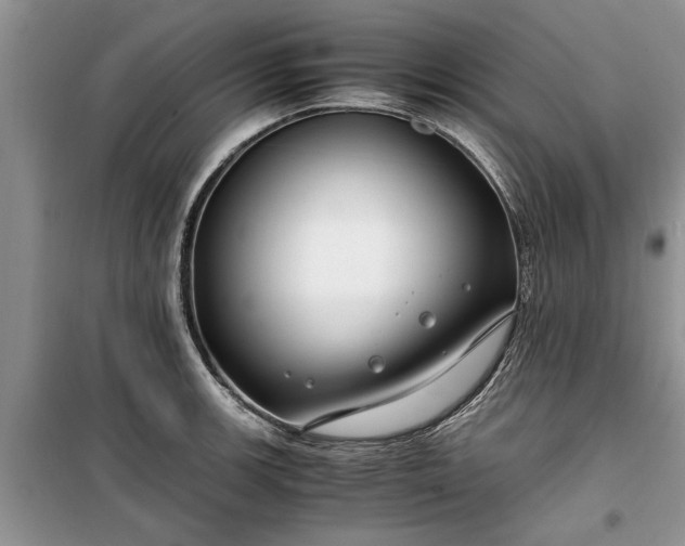 X0000099511139200805291144