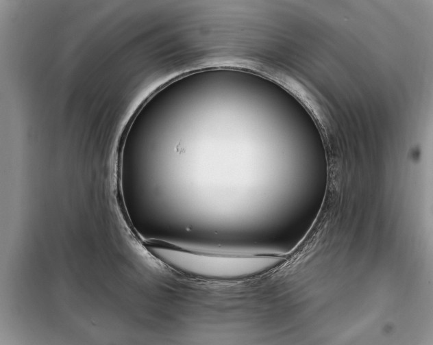 X0000099511140200805291144