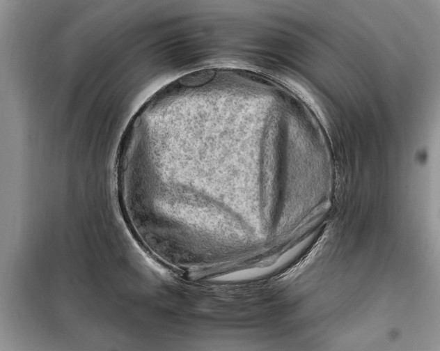 X0000099511141200805291144