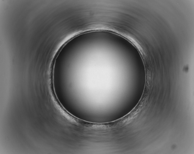 X0000099511142200805291144