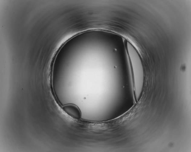 X0000099511143200805291144