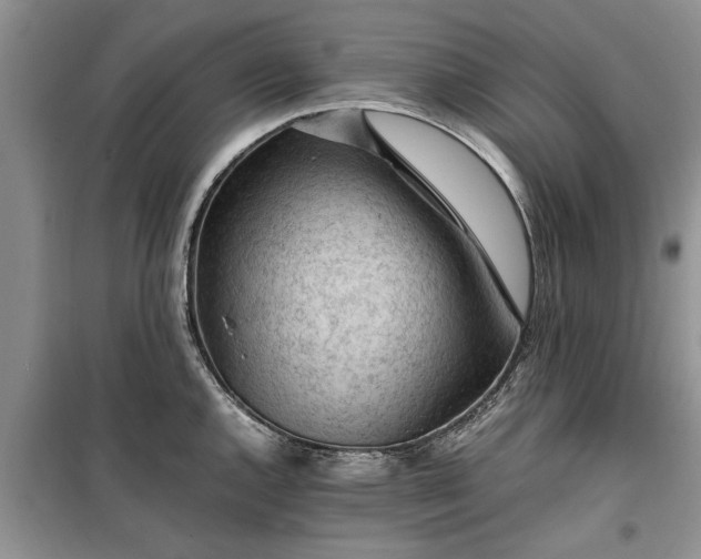 X0000099511144200805291144