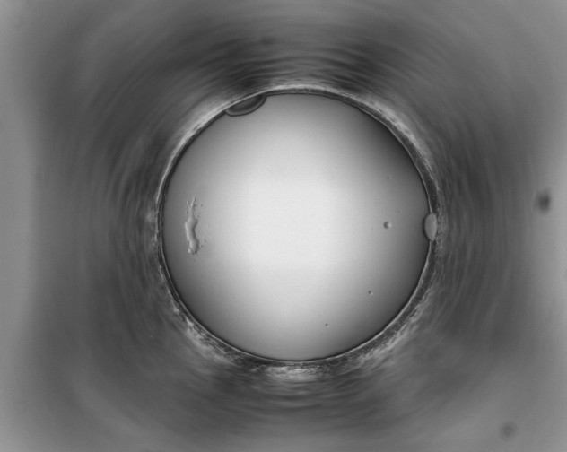 X0000099511145200805291144