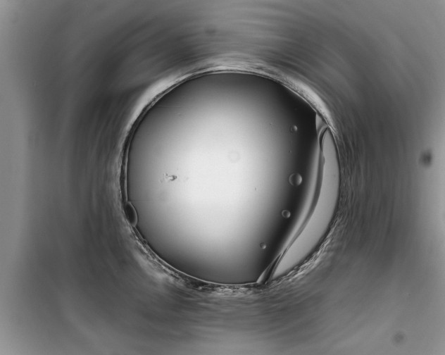 X0000099511146200805291144