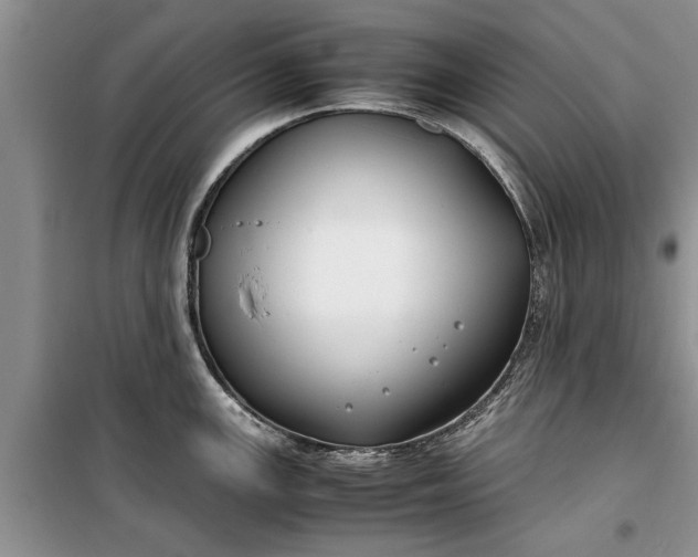 X0000099511147200805291144