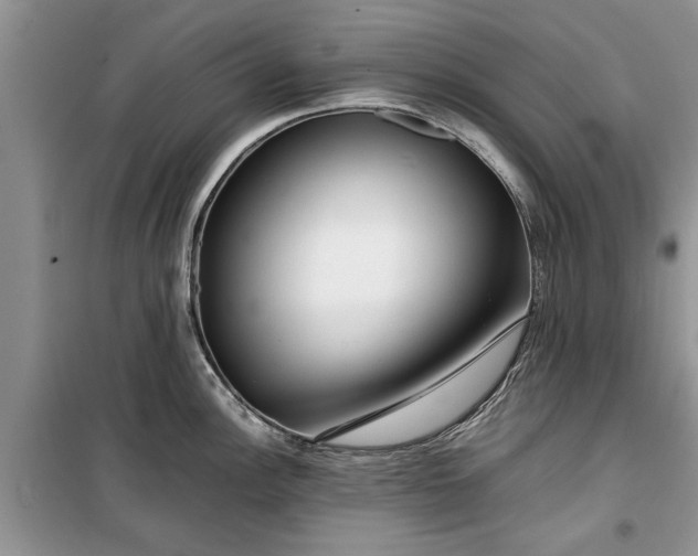 X0000099511148200805291144