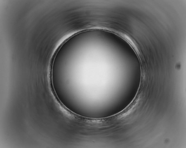 X0000099511149200805291144