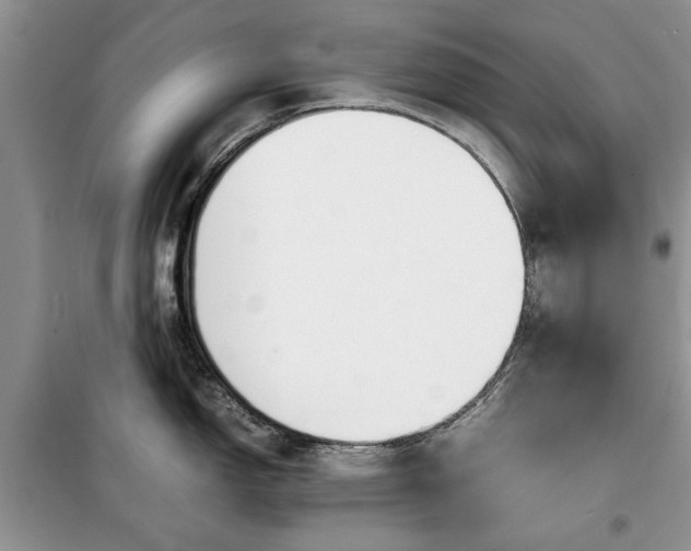 X0000099511150200805291144