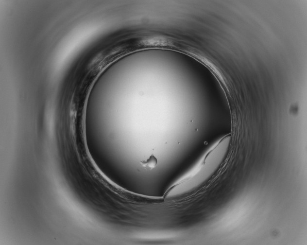 X0000099511151200805291144