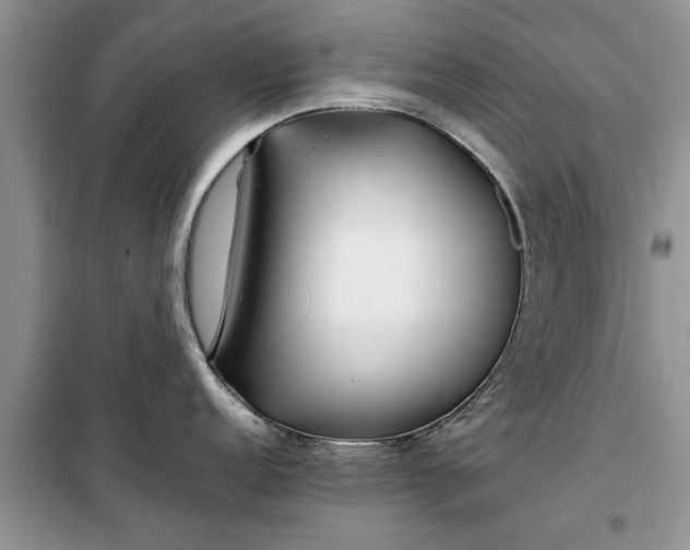 X0000099511152200805291144