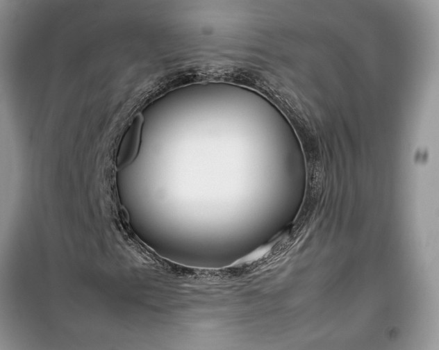 X0000099511153200805291143