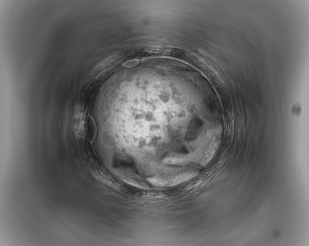 X0000099511154200805291143