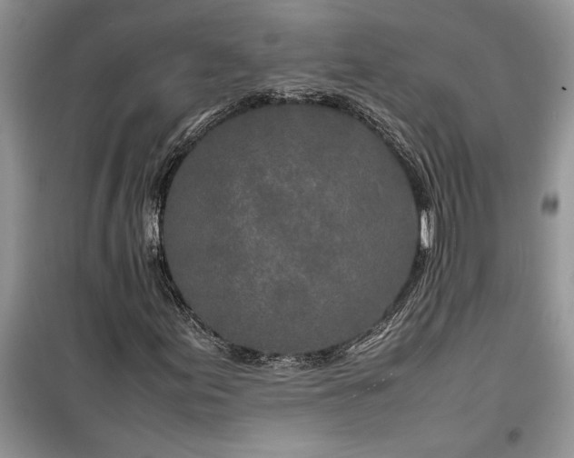 X0000099511155200805291143